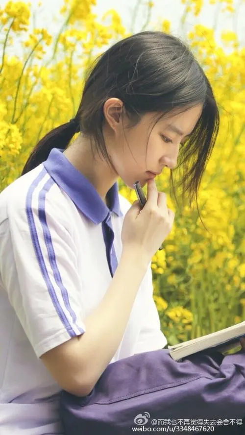 合规与玩家关怀